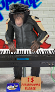 Talking monkey ภาพหน้าจอ 4
