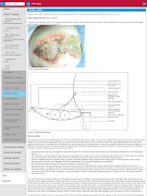 Surgery UCT اسکرین شاٹ 4
