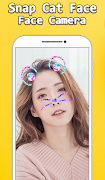 Snap Cat Face Camera poster