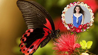 Butterfly Frames স্ক্রিনশট 4