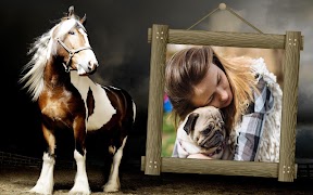 Horses Photo Frames screenshot 2