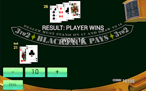 BlackJack Simulator screenshot 6
