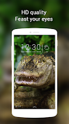 Crocodile Live Theme 스크린샷 4