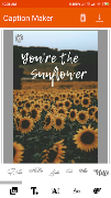 Caption Maker captura de pantalla 4