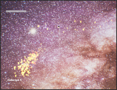 Star Catcher 스크린샷 6