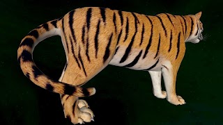 Tiger 3D Ekran Görüntüsü 3