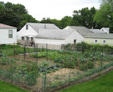 Design de jardin de légumes à l'arrière-cour capture d'écran 2