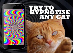 برنامهنما Cat Hypnosis Simulator عکس از صفحه