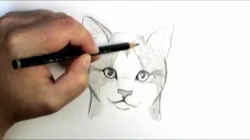 Apprendre a dessiner (Facile) screenshot 1