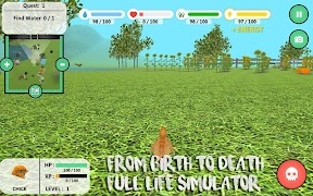 4 Schermata Chick Simulator