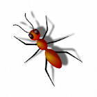 Ant Killer, Improve your Reflexes иконка