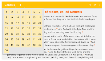 Suriname Bible App : Spanish / English screenshot 1