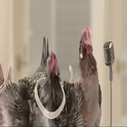 اغنية مضحكة للدجاج plakat