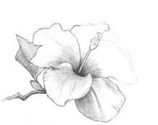 5 Schermata Disegni di fiori facili