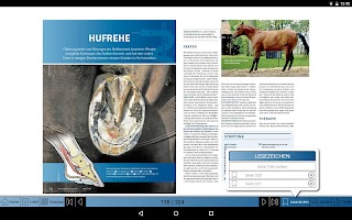 CAVALLO Medizin screenshot 2