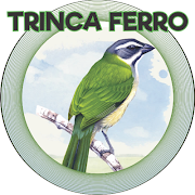 TRINCA FERRO 海報