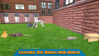 برنامه‌نما City Mouse Simulator عکس از صفحه