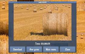 Tile Puzzles · Fields скриншот 2