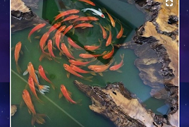 برنامه‌نما Solid Wood Table Design عکس از صفحه