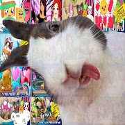 Naishys اسکرین شاٹ 2