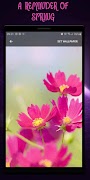Flower Live Wallpaper Screenshot 2
