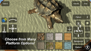 4 Schermata Turtle Mannequin