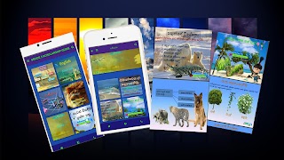 Grade 5 Scholarship Guide imagem de tela 2