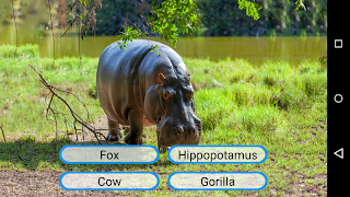 Animals Learning capture d'écran 4