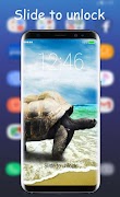 Super Turtle App-poster