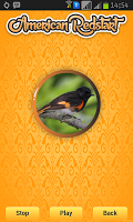 American Redstart screenshot 1