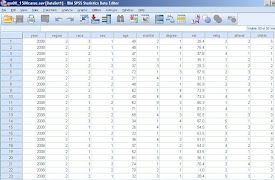 SPSS 22 ADVANCED স্ক্রিনশট 2