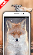 Fox Wallpapers screenshot 5