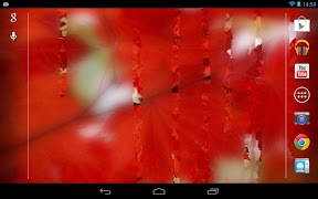 Misted Screen HD اسکرین شاٹ 1