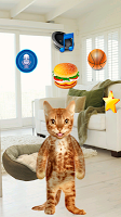 Talking Cat 2 screenshot 2