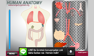 Human Anatomy screenshot 2