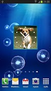4 Schermata Dog Clock Widget