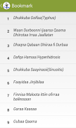 Fayyan Faayaa screenshot 3