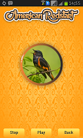American Redstart screenshot 3
