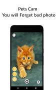 Camera for Pets poster