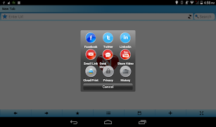 Nano Browser screenshot 2