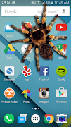 Spider on screen পোস্টার