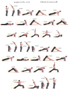 Yoga Tutorials screenshot 1