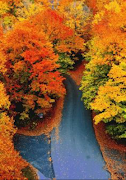 Beautiful Walpaper screenshot 7