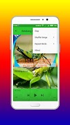 Audio Belalang Kecek Mp3 Offline تصوير الشاشة 3