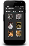 5 Schermata Cat Suoni Gratuito