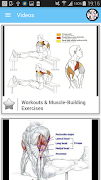 Body Building Trainer 截图 3