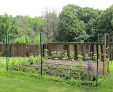 Backyard Vegetable Garden پوسٹر