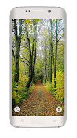 Forest HD Live Wallpaper ảnh chụp màn hình 2
