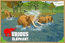 برنامه‌نما Furious Elephant Simulator عکس از صفحه