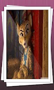 برنامهنما Madagascar عکس از صفحه